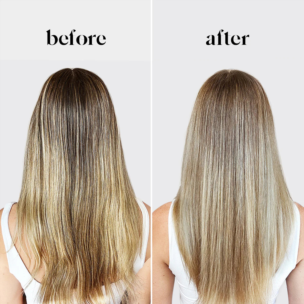 kitsch 護色洗髮餅-適合highlight/漂髮用