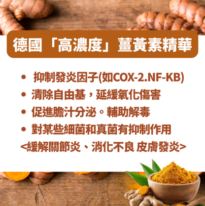 Sanct Berhnard德國薑黃素精華(60粒裝/添加膽鹼) Sanct Berhnard Curcuma Capsule(Choline Added / Vegan )