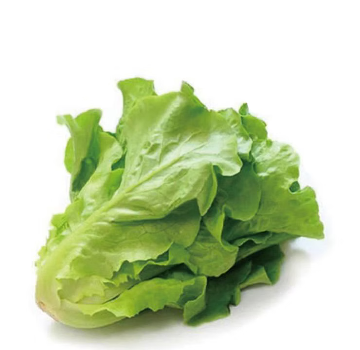 Farm28-有機意大利生菜 (半斤)