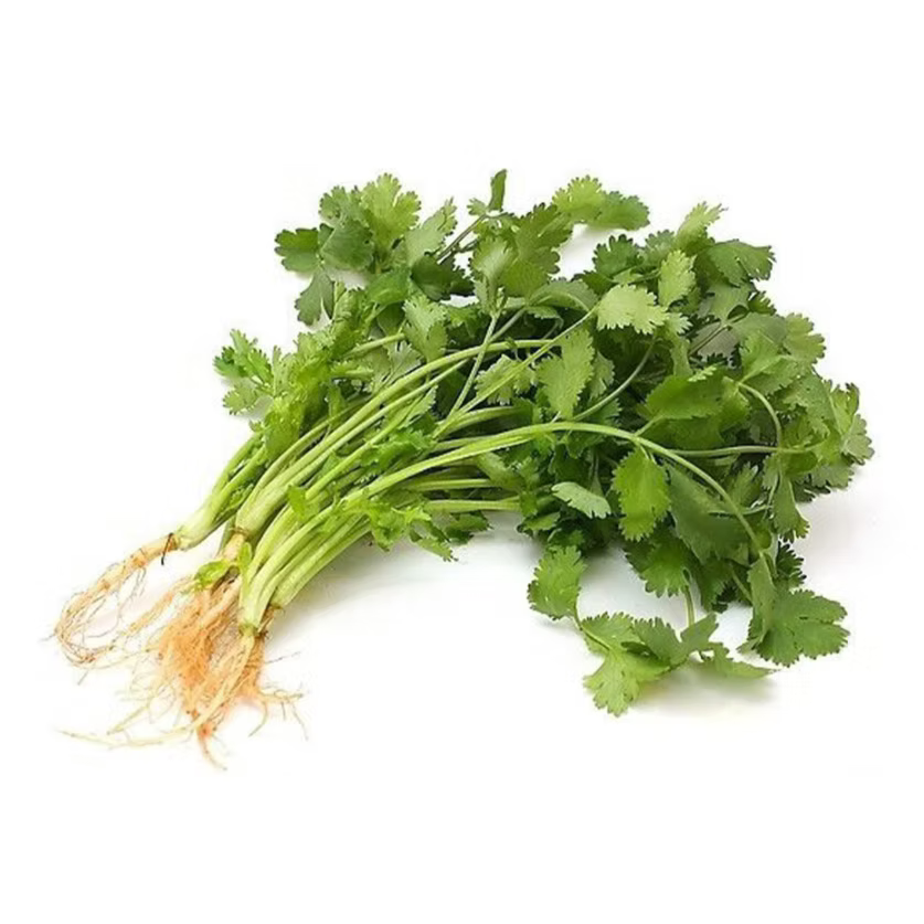 Farm28-有機芫茜(70G)