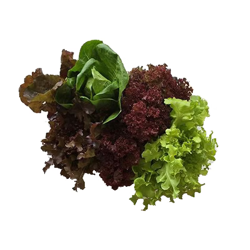 Farm28-有機雜色沙律菜(半磅)