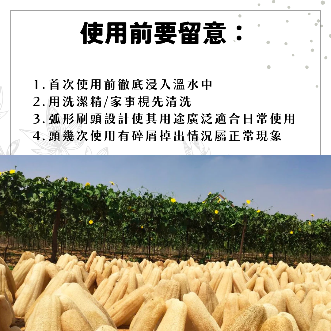 Loofco 廚房清潔刷