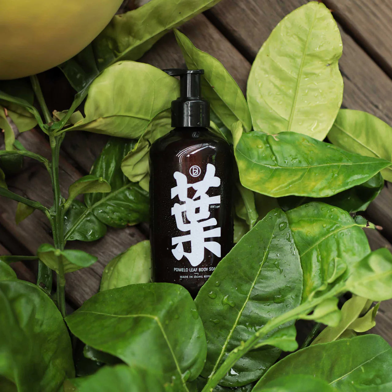 Bathe to Basics| 碌柚葉沐浴露 Pomelo Leaf Body Soap
