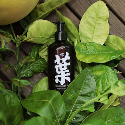 Bathe to Basics| 碌柚葉沐浴露 Pomelo Leaf Body Soap
