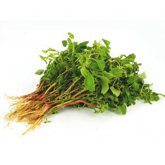 Farm28-有機馬屎莧 (半斤)