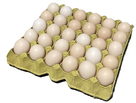 Farm28-無激素雞蛋